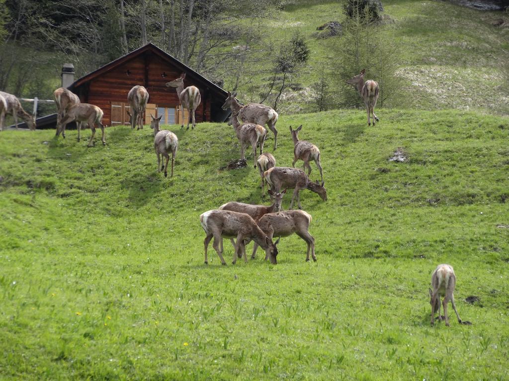 Chalet Edelweiss Hérémence Rom bilde